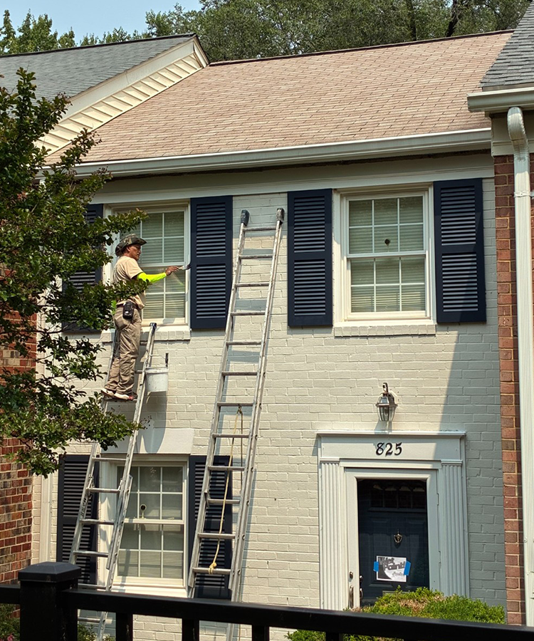 ladder-trees-house-paint
